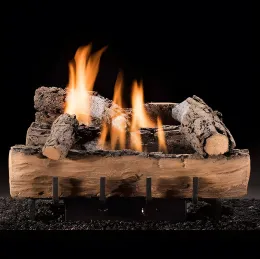 Gas fireplace with ceramic logs and flames.