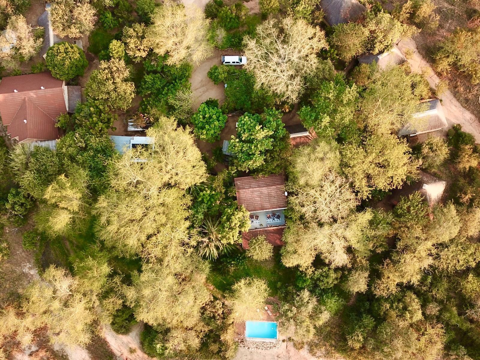 an aerial view of a house in the middle of a forest surrounded by trees .