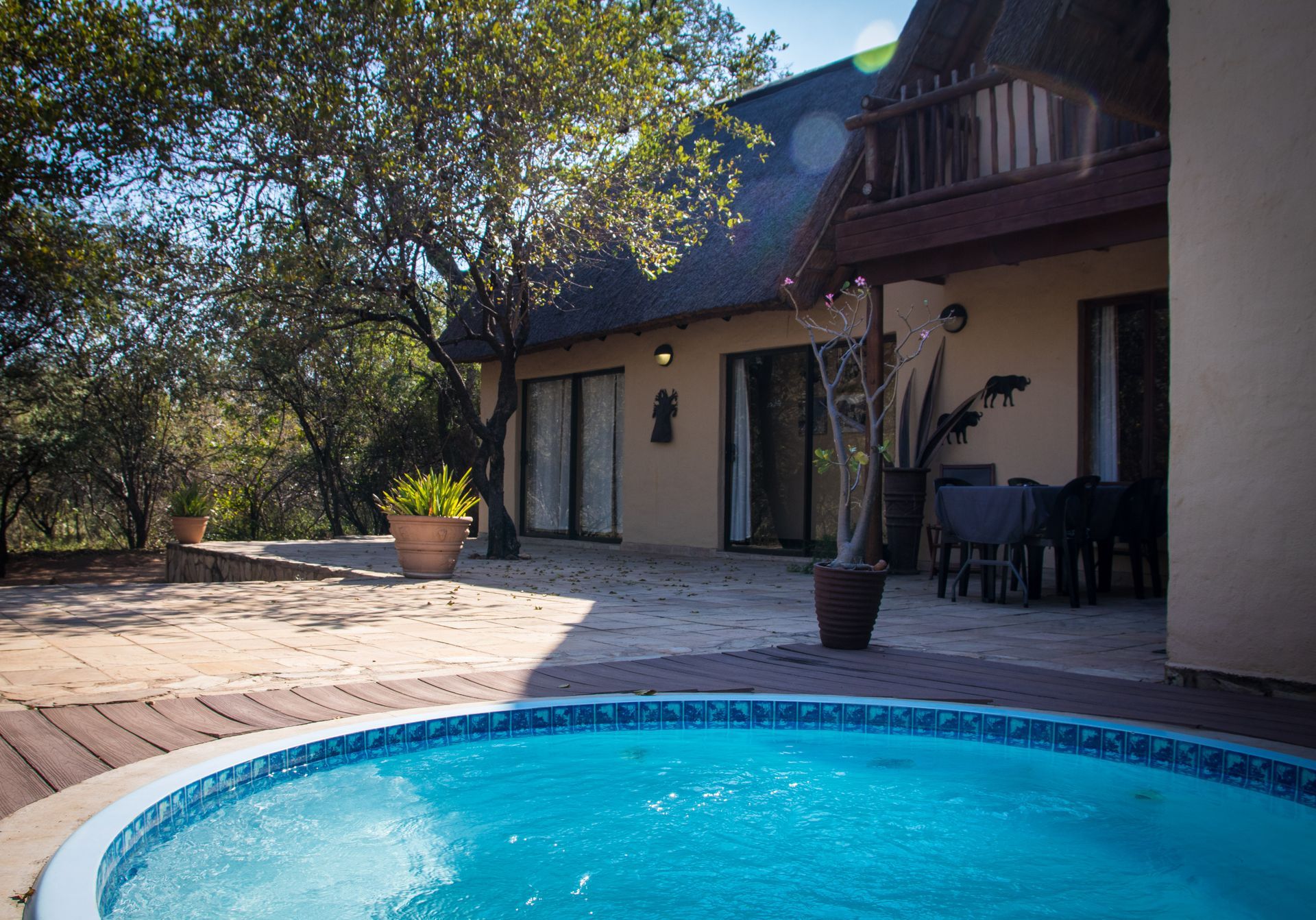 Swimming pool in front of a house with thatched roof, patio, trees. Sunny day.