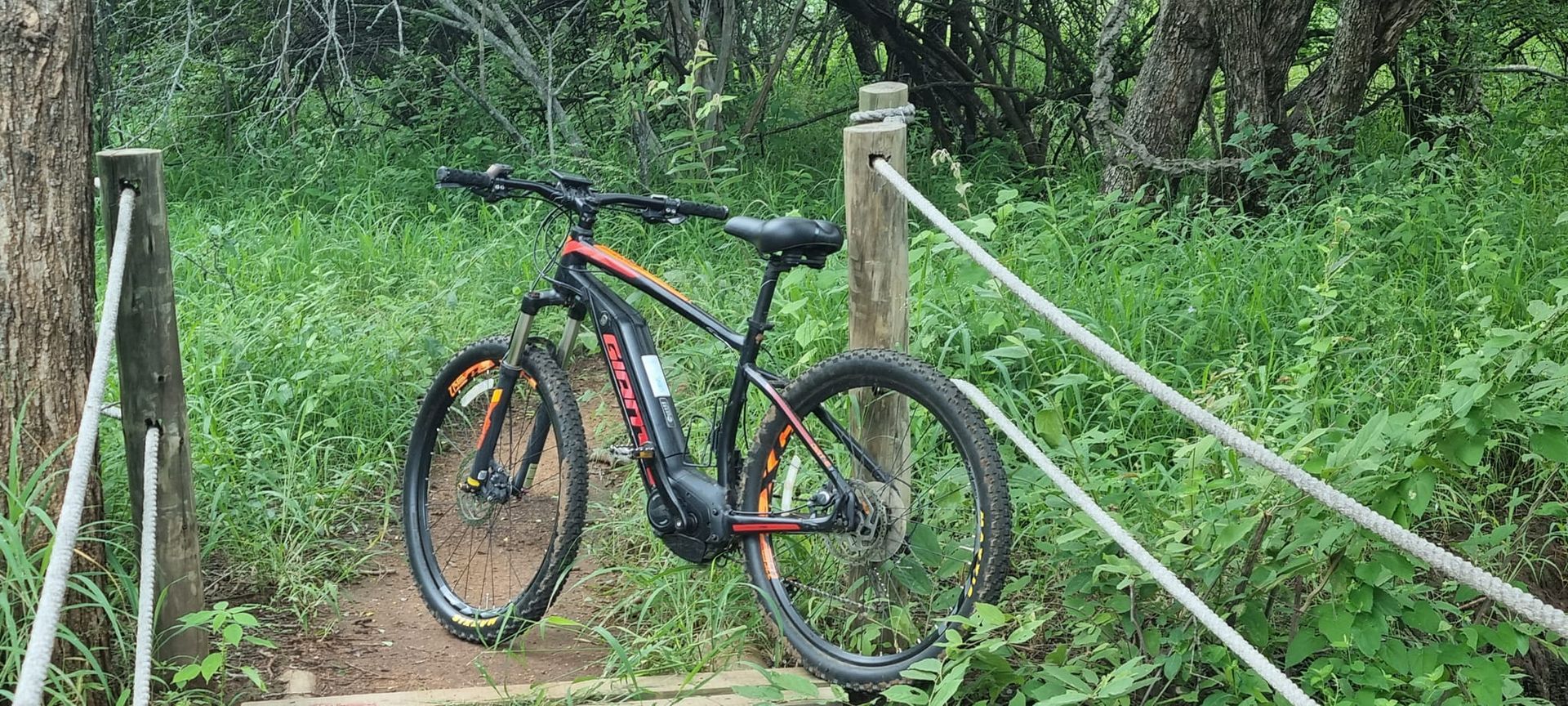 a bicycle is parked on a rope fence in the woods .