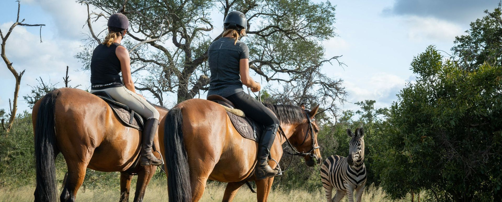 two people are riding horses in a field with a zebra in the background .