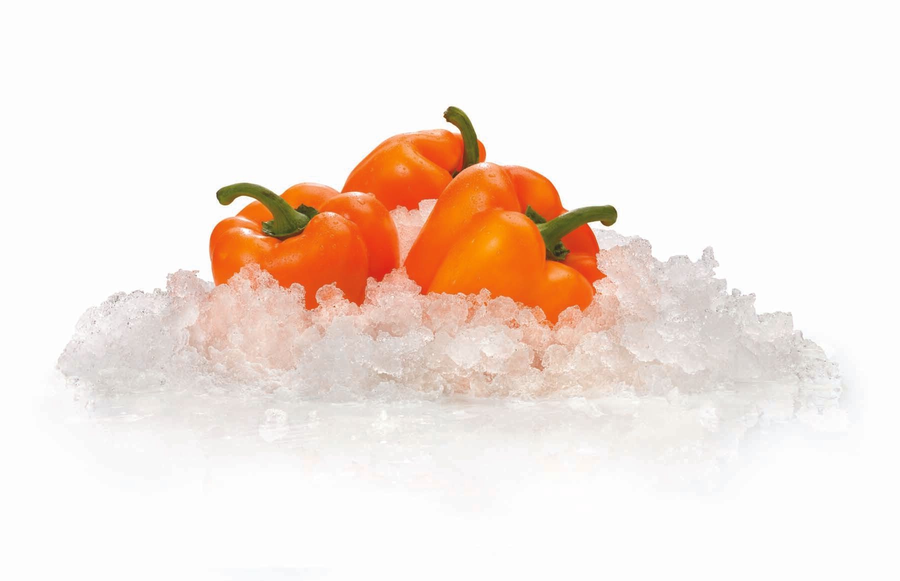 Three orange peppers are sitting on top of a pile of ice.