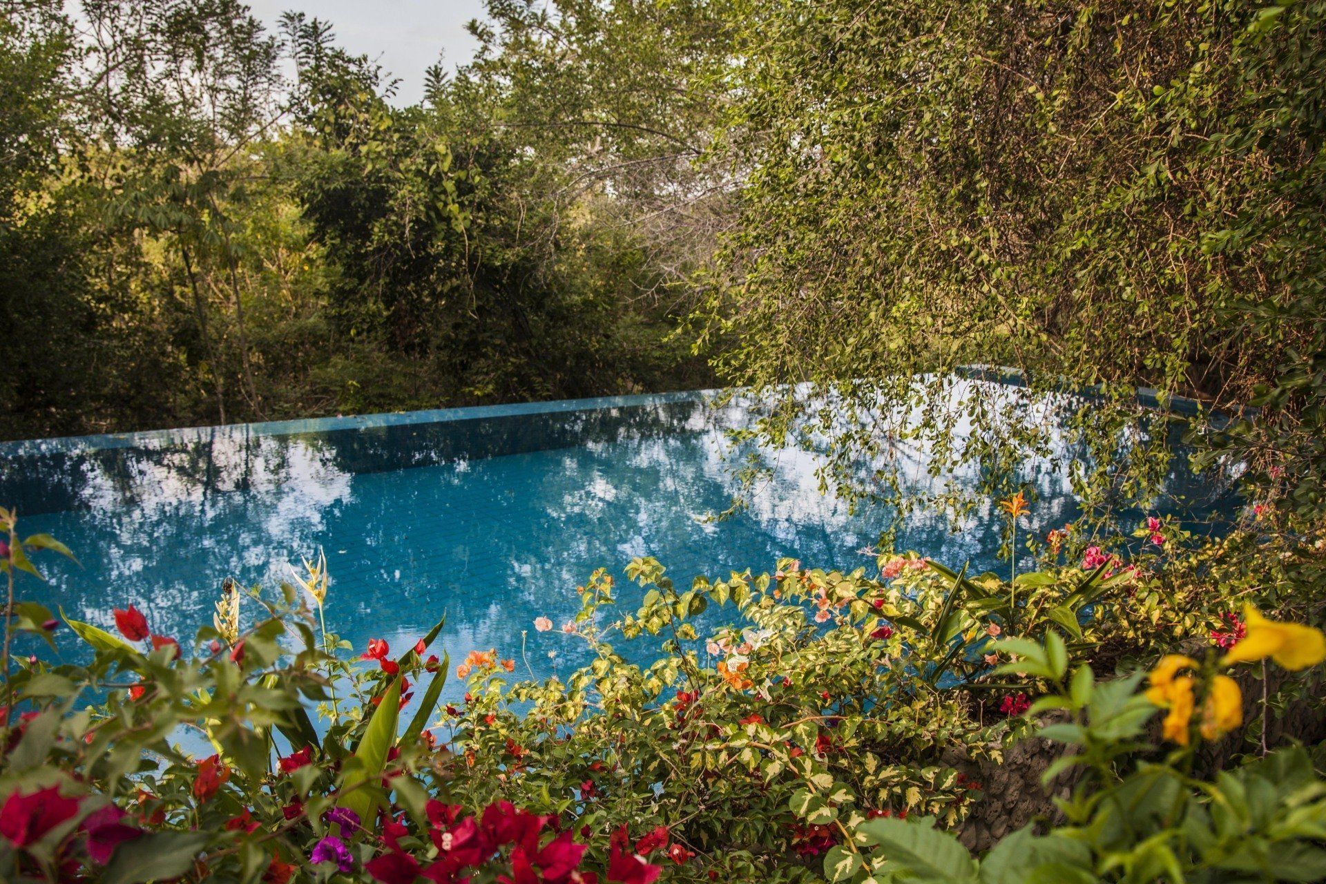 avianet feria anato entrada