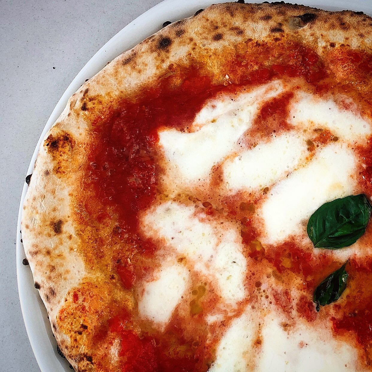 Pizza with red sauce, white mozzarella, and basil on a white plate.