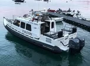 White and gray Falcon boat with dual outboard motors in a harbor near a dock.