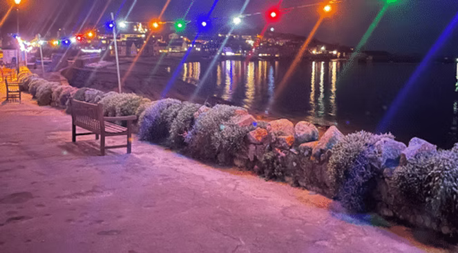 Night scene: shoreline with lit string lights. Benches, stone wall with frosted plants, and reflections in the water.