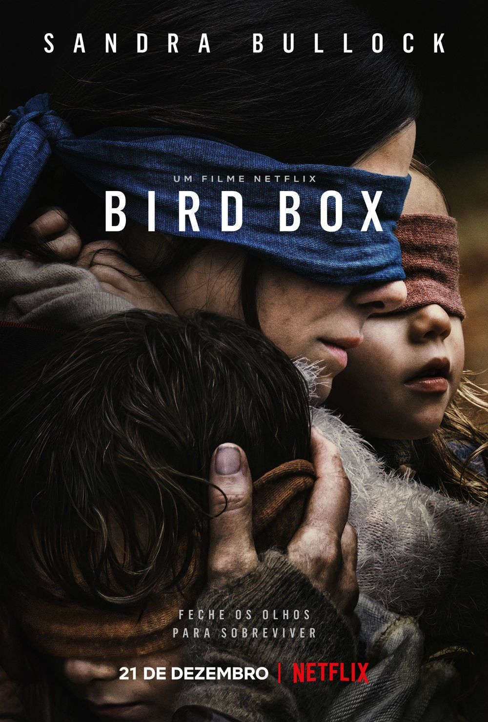 bird-box
