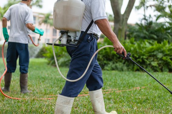 A man is spraying a bush with a hose in front of a brick building.