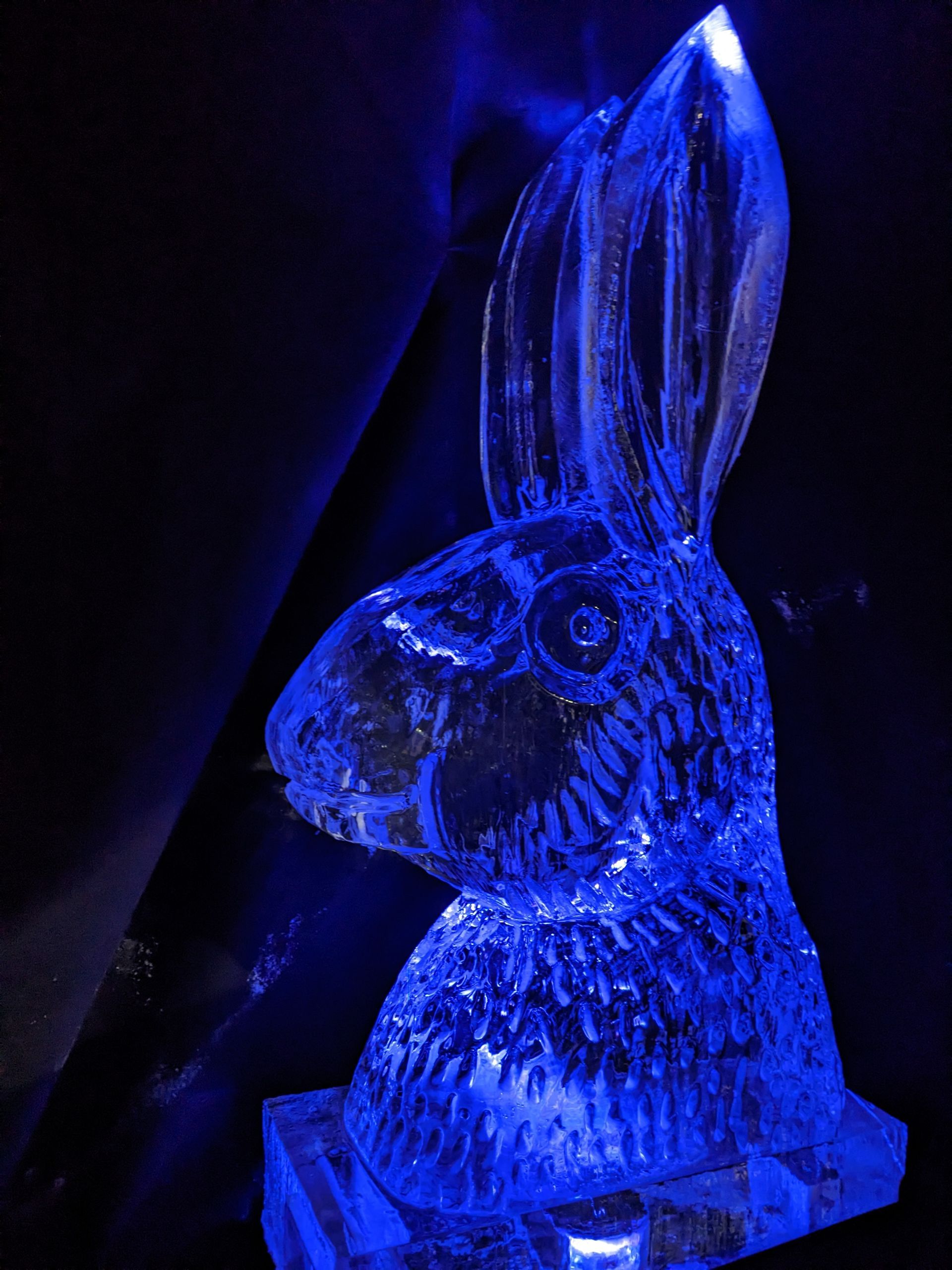 A statue of a rabbit made of ice is lit up in blue light.