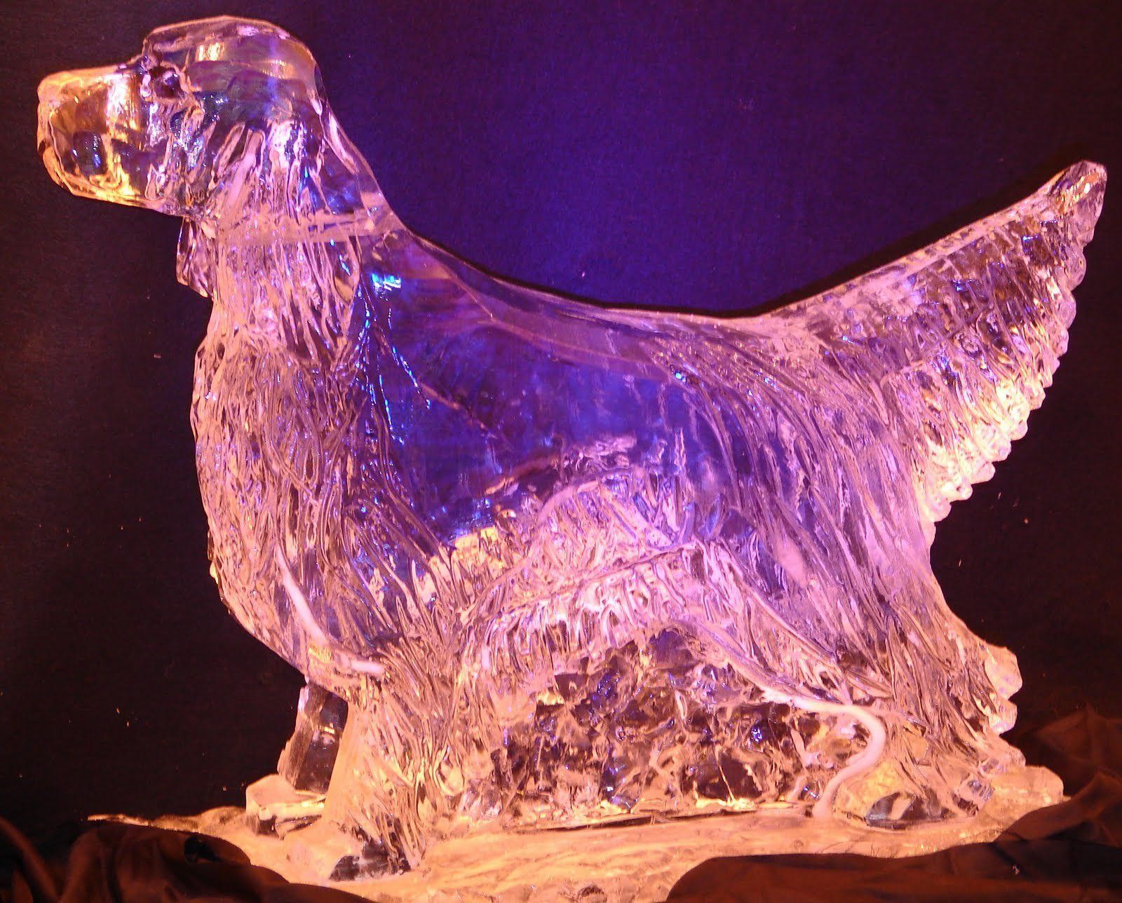 A clear ice sculpture of a dog with purple lights behind it