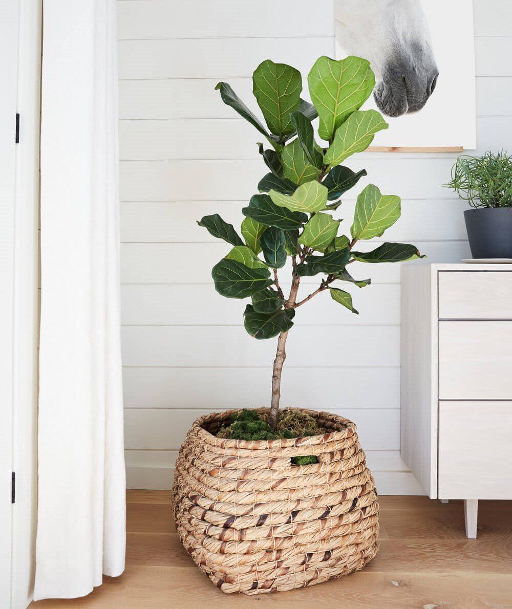 Work Wisdom Consultancy