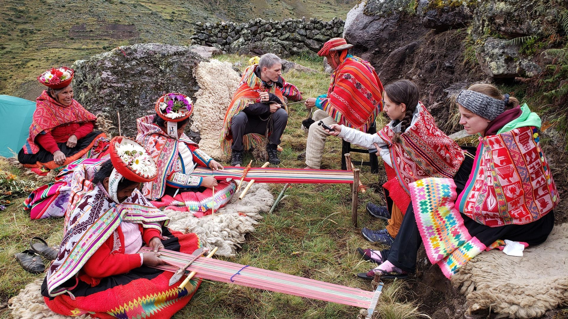 machu picchu llama tour