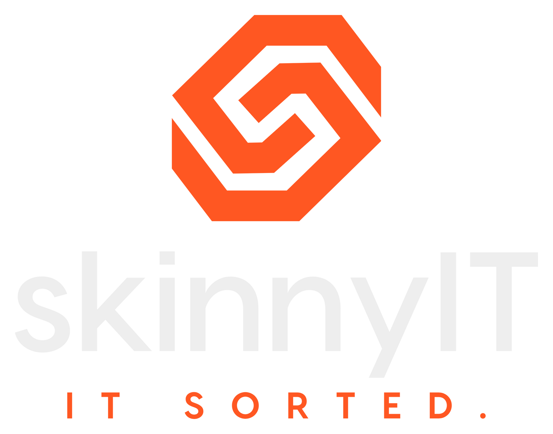 skinnyIT logo