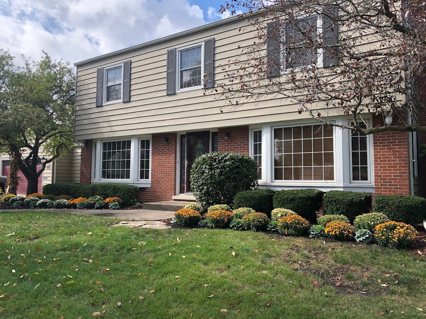 A lush green lawn with a tree in the middle