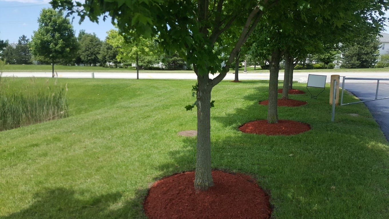 An aerial view of a house in the middle of a lush green field.