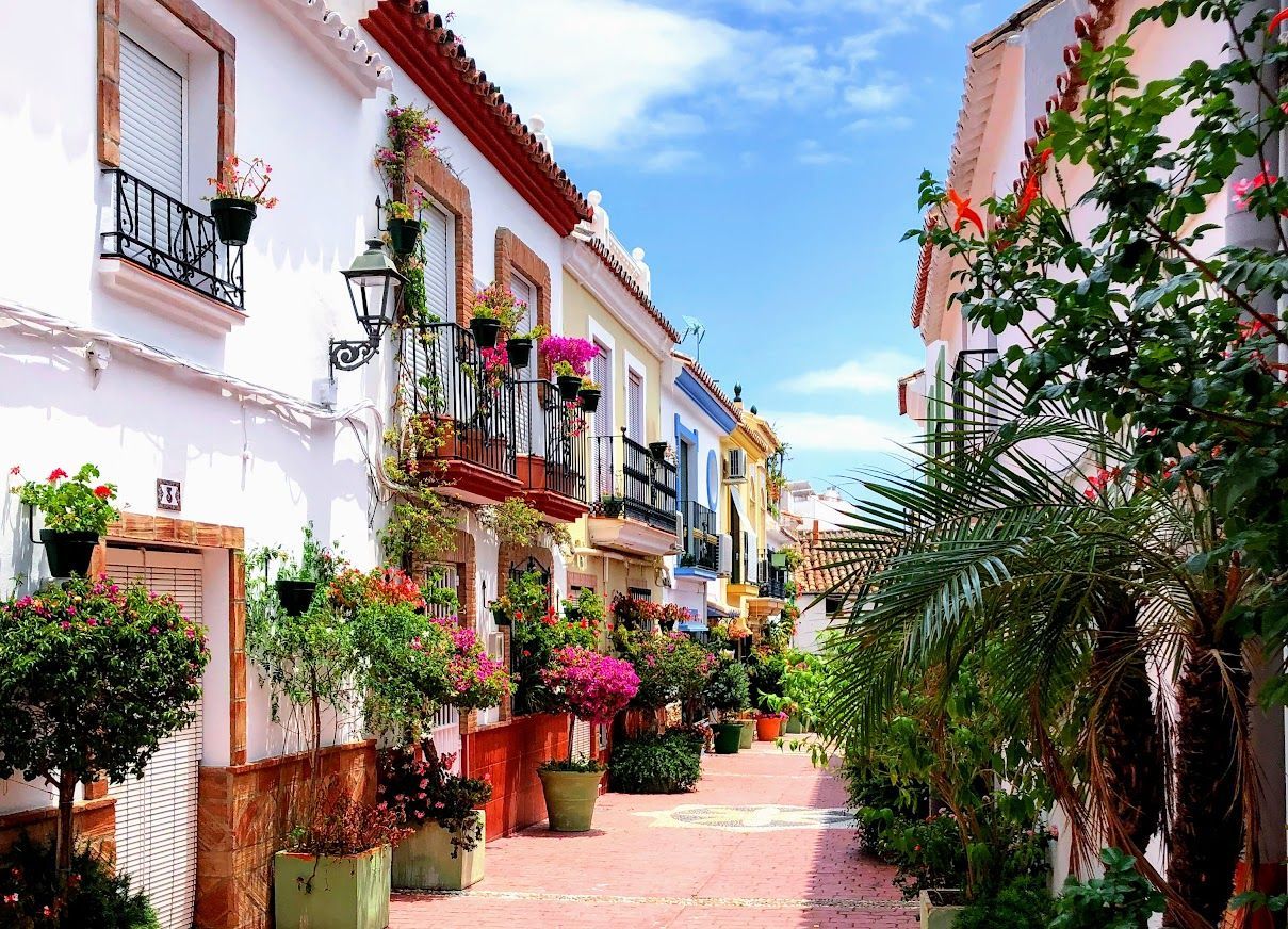 Estepona colourful street with flower pots and plants