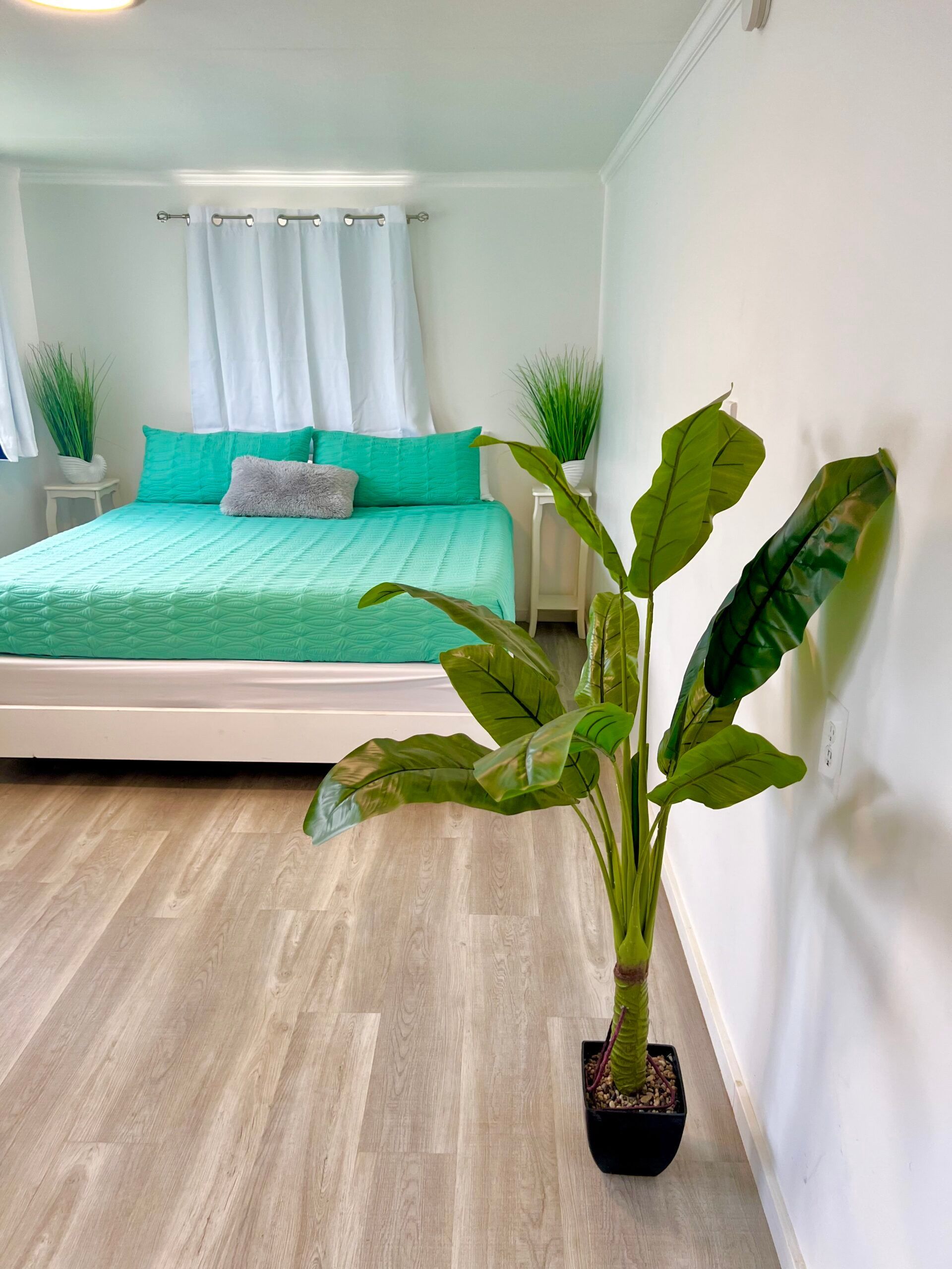 Bedroom with a mint green bedspread, white walls, and a large potted plant in the foreground. Light gray flooring.