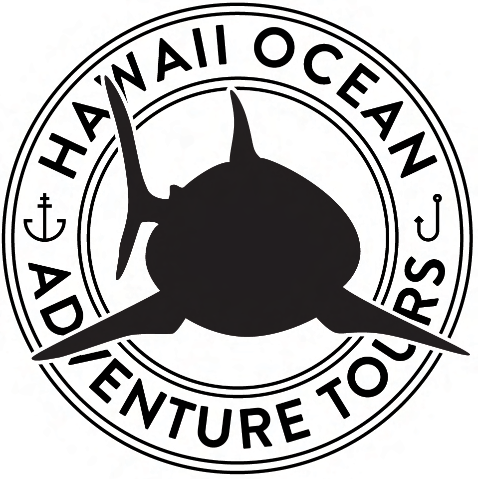 Hawaii Ocean Adventure Tours