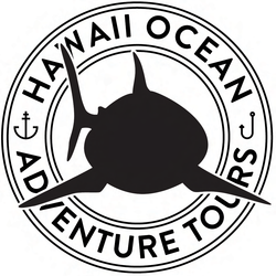 Hawaii Ocean Adventure Tours