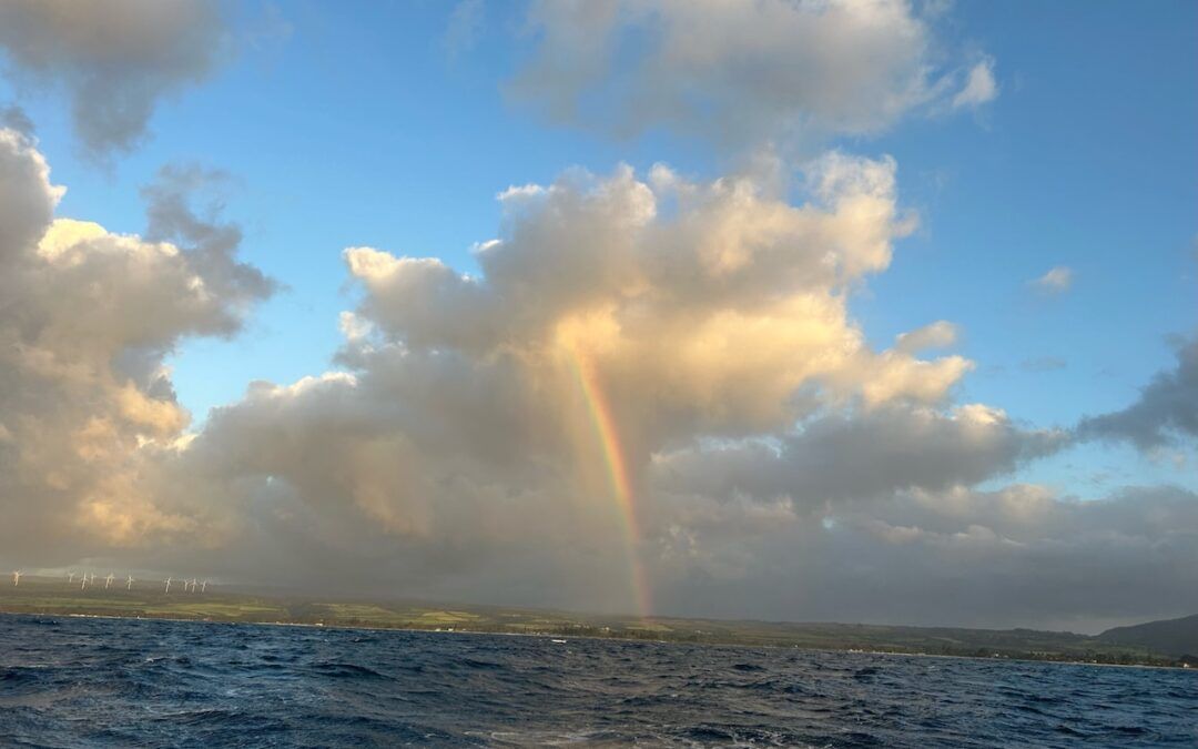 There is a rainbow in the sky over the ocean.