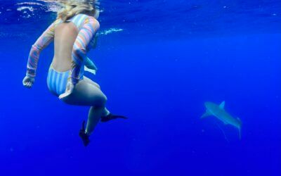A woman is swimming in the ocean next to a shark.