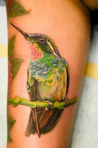 Colorful hummingbird tattoo perched on a branch.