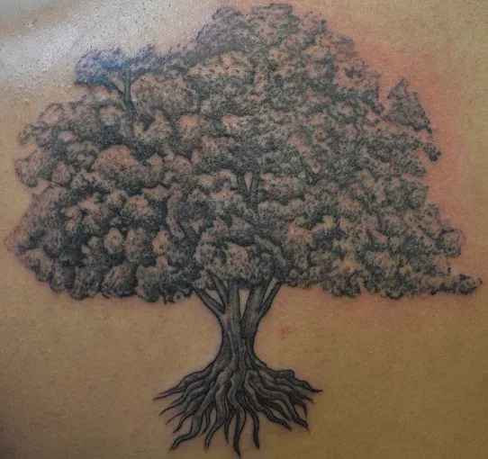 Tattoo of a tree with full leaves and exposed roots in gray ink.