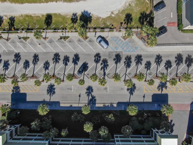 Aerial view of a parking lot with palm trees, showcasing a blend of urban and tropical scenery.
