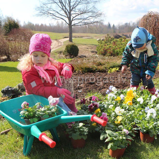 Stādu audzēšana un tirdzniecība Stādu audzēšana un tirdzniecība