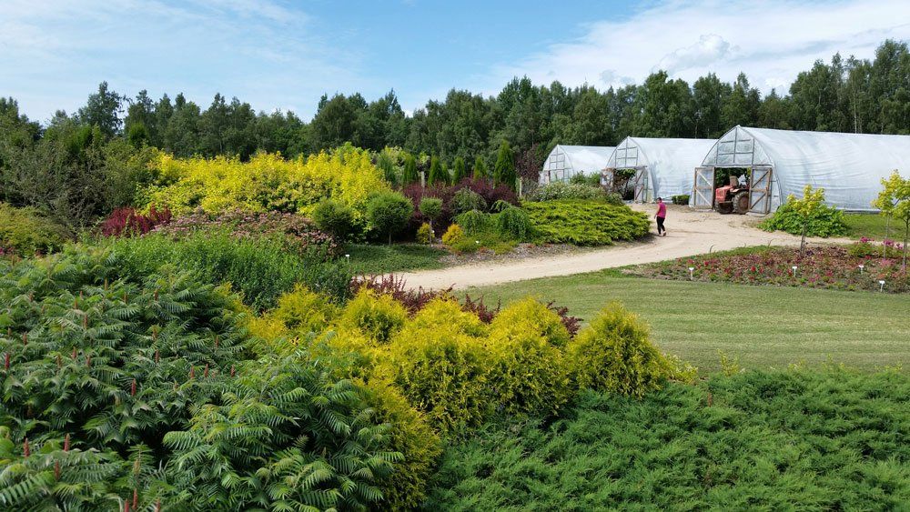 Apstādījumu labiekārtošana un projektēšana