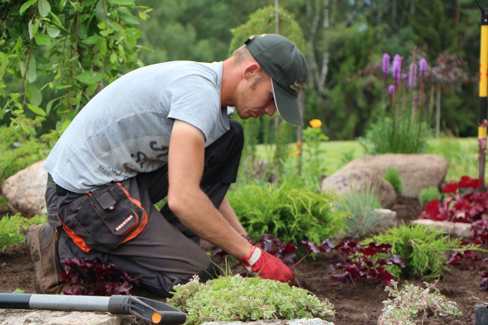 Apstādījumu labiekārtošana un projektēšana