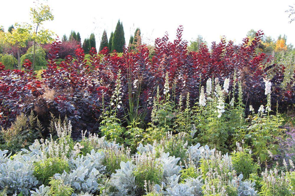 Apstādījumu labiekārtošana