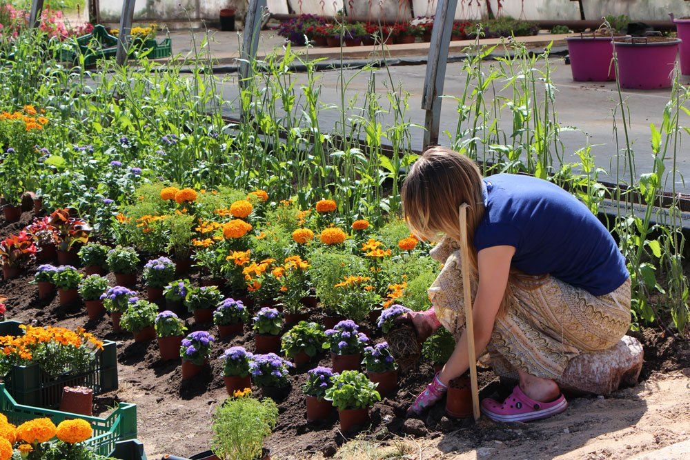 Apstādījumu labiekārtošana un projektēšana