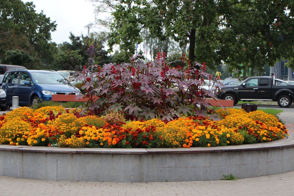 Apstādījumu labiekārtošana un projektēšana