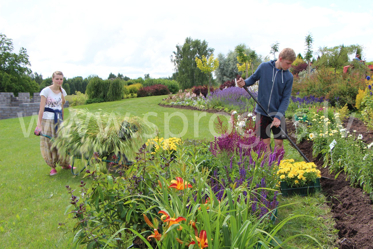 Apstādījumu labiekārtošana