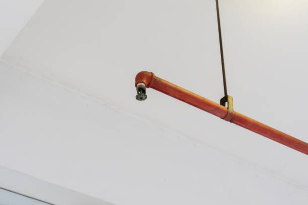 Ceiling-mounted fire alarm sprinkler head.
