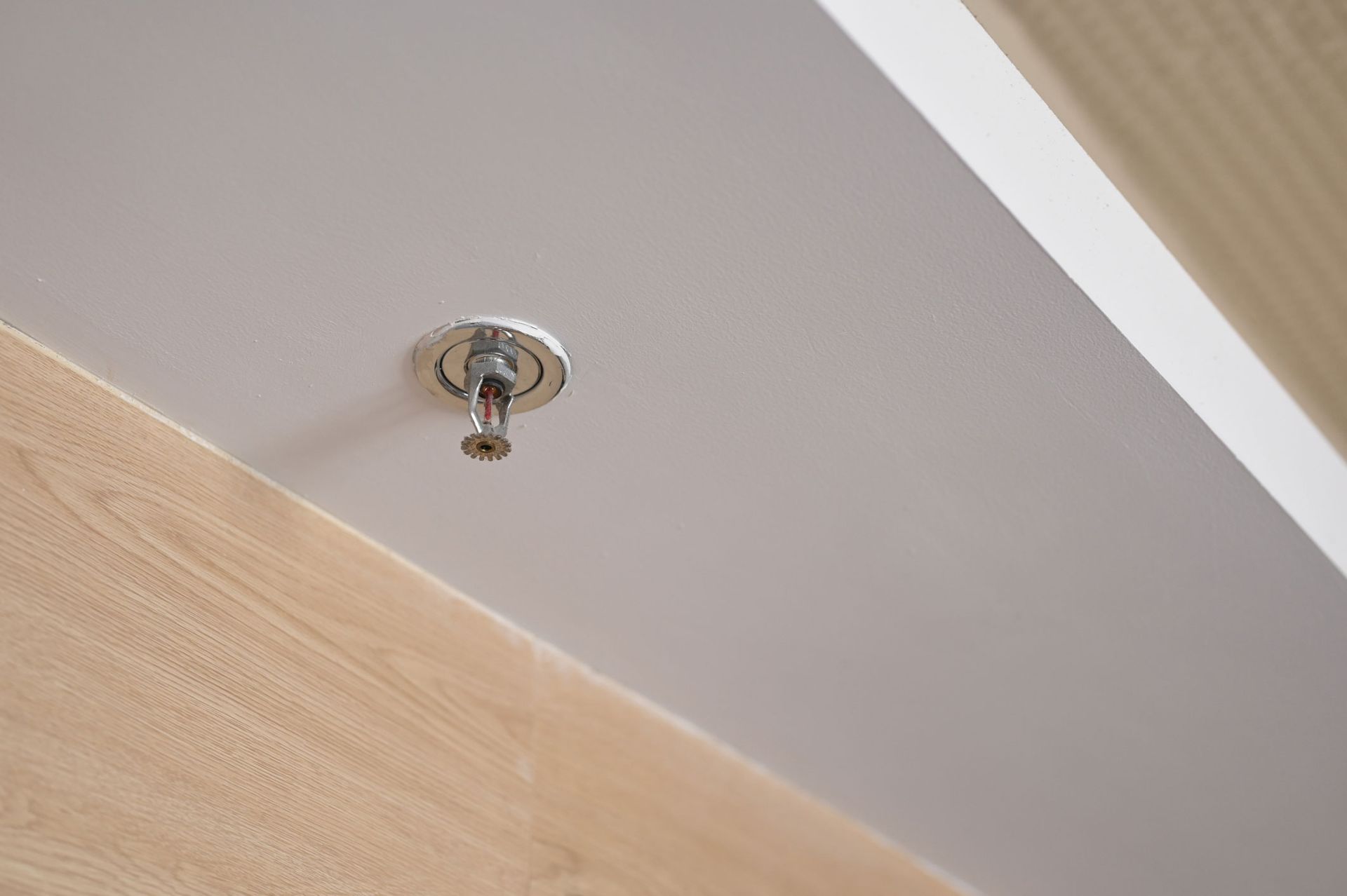 Ceiling sprinklers and fire alarm devices ensuring safety in case of fire emergency.