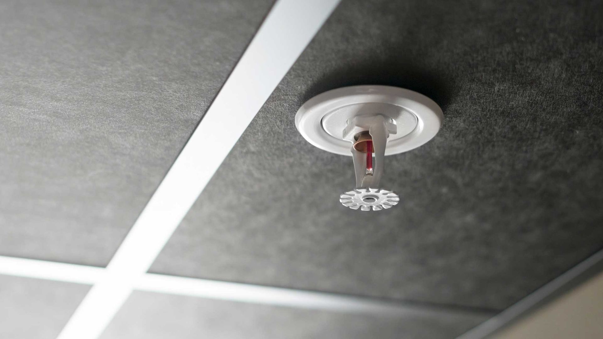 Ceiling-mounted fire sprinkler ready to activate in case of fire emergency.