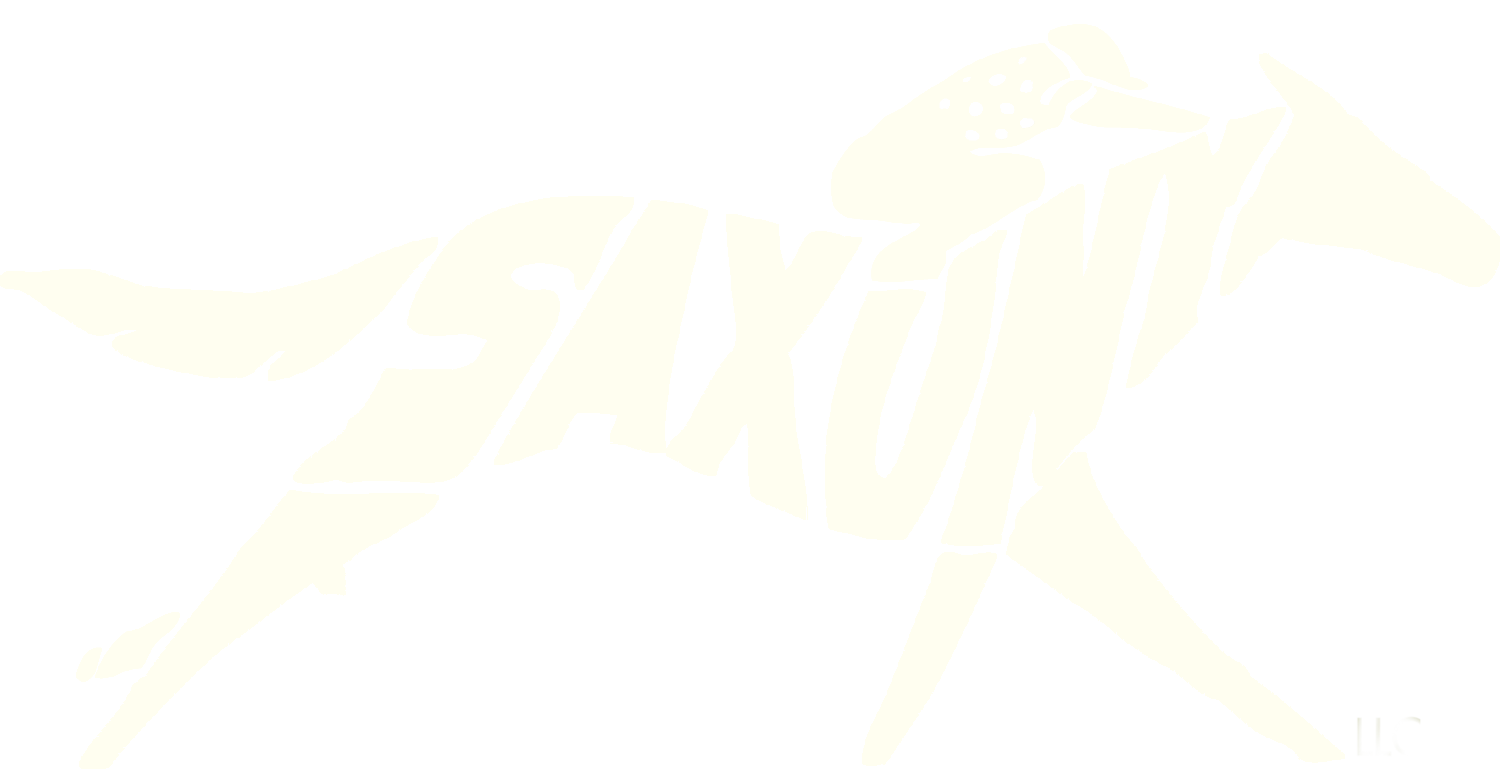 Image 16