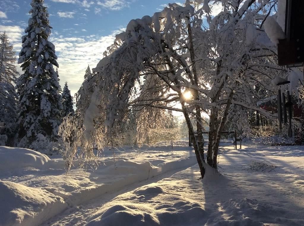 A family is carrying cardboard boxes into a new home.
