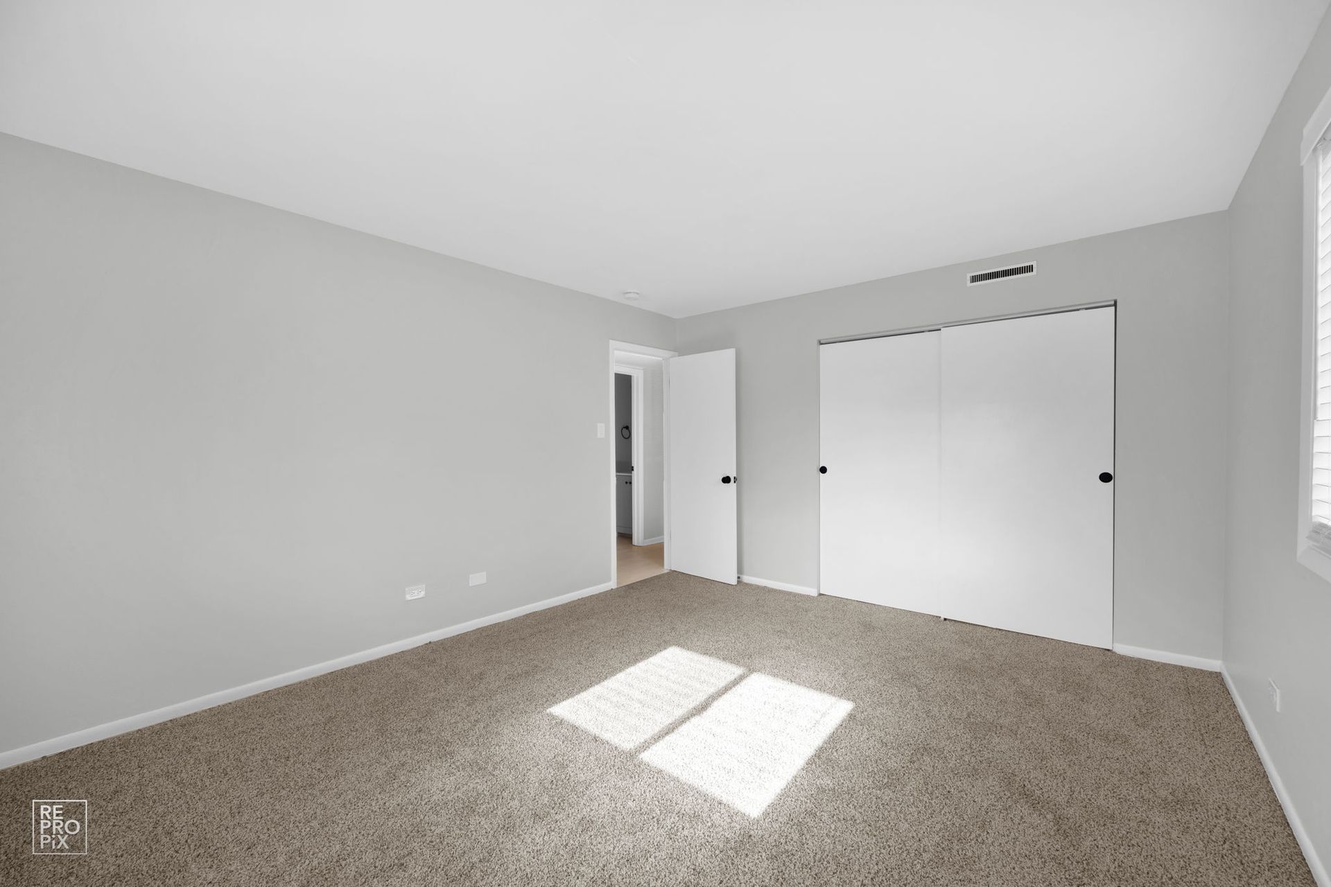 Empty bedroom with gray walls, beige carpet, and closet doors. Sunlight shines from a window.