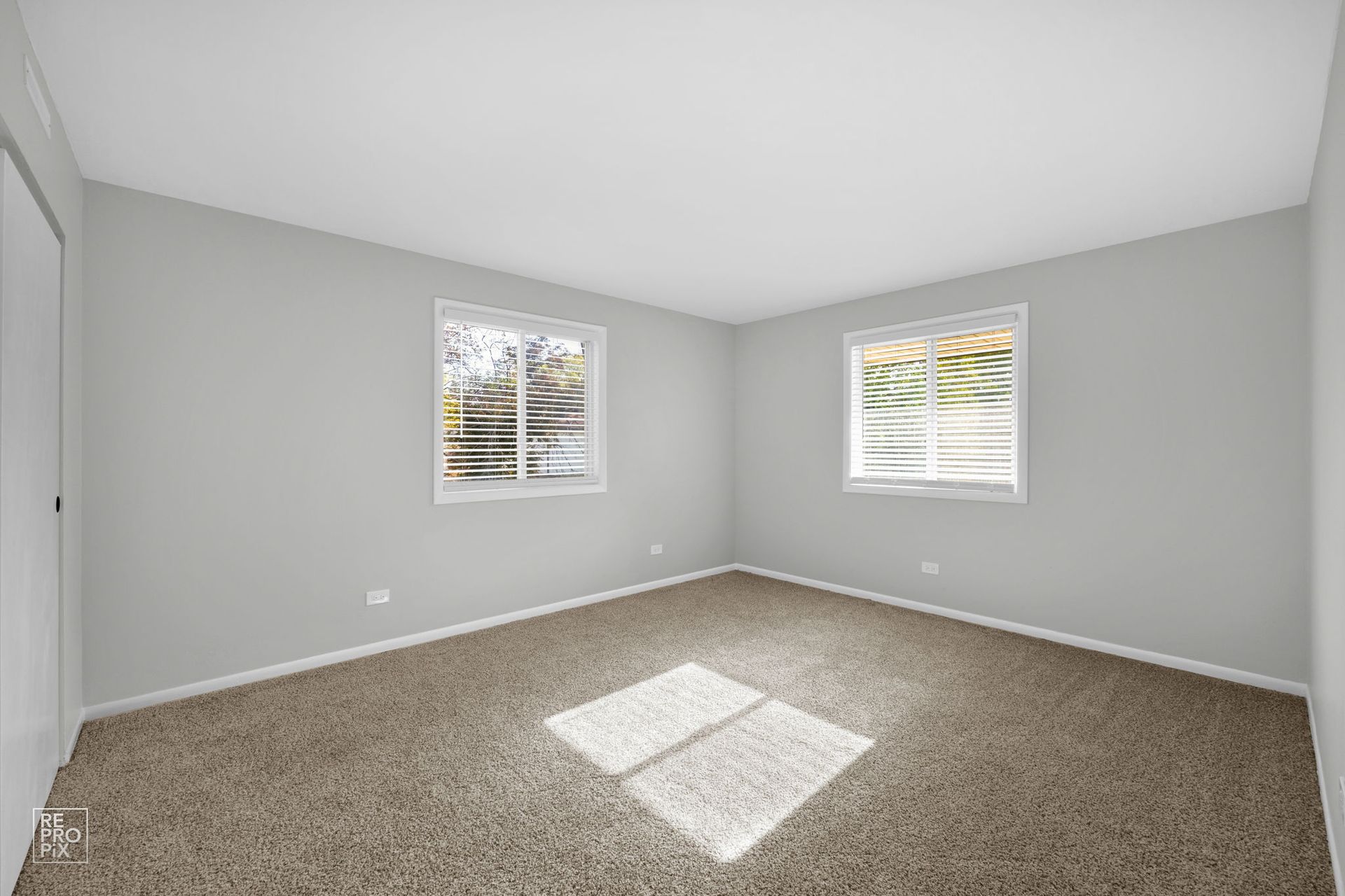 Empty bedroom with gray walls, two windows, and brown carpet.