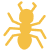 ants