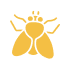 flies