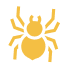 spiders