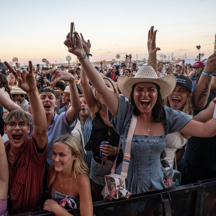 Crowd at outdoor music event, raising arms in excitement. Several people smiling, cheering.
