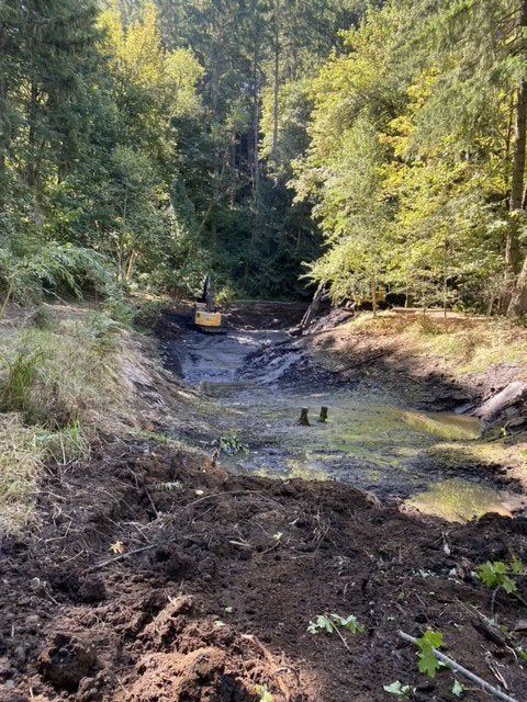 Forest Excavation — Eugene, OR — Braun Excavating Inc.