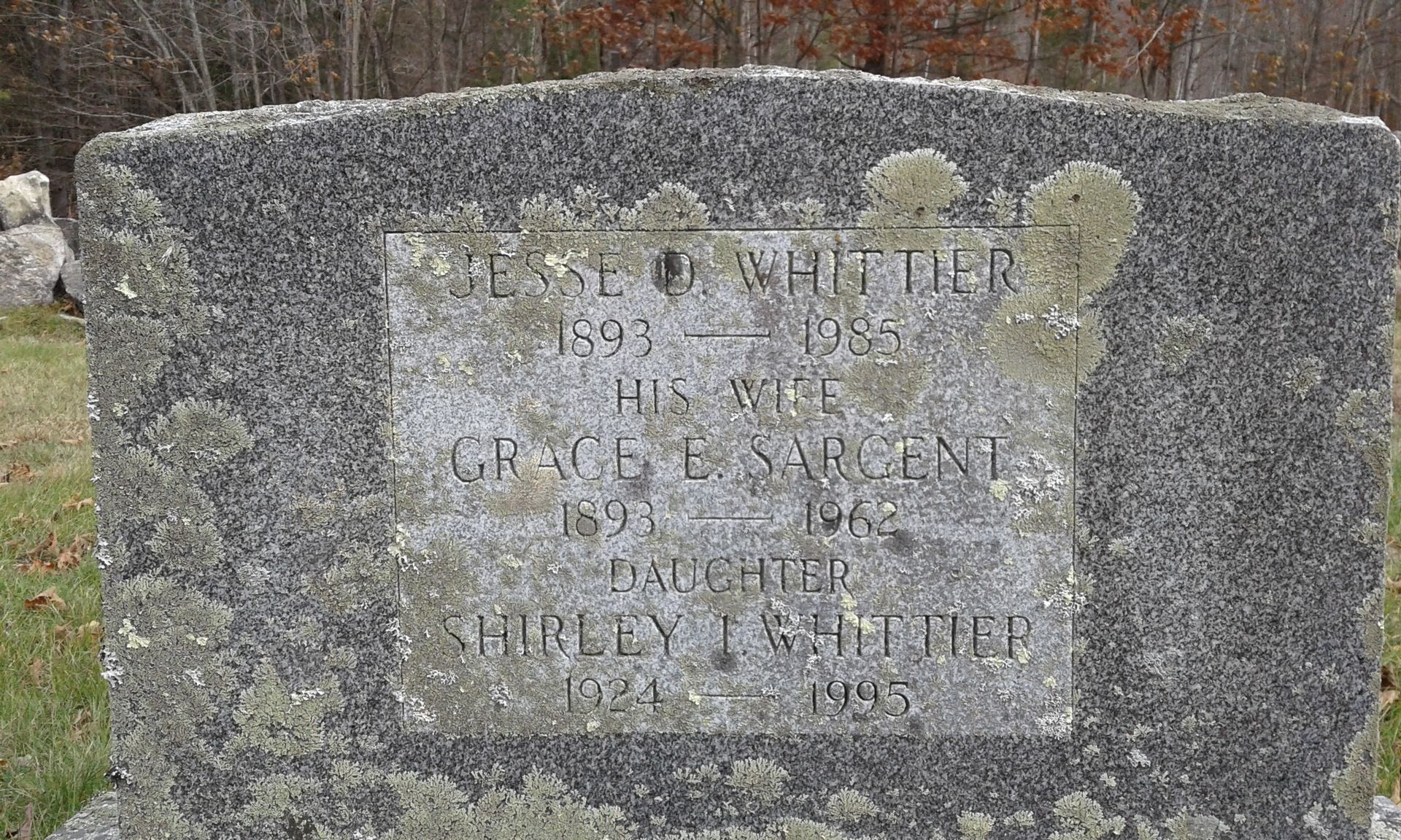 back of lichen covered headstone