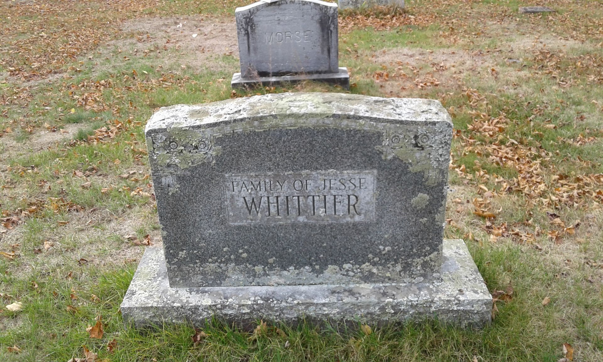 lichen covered headstone