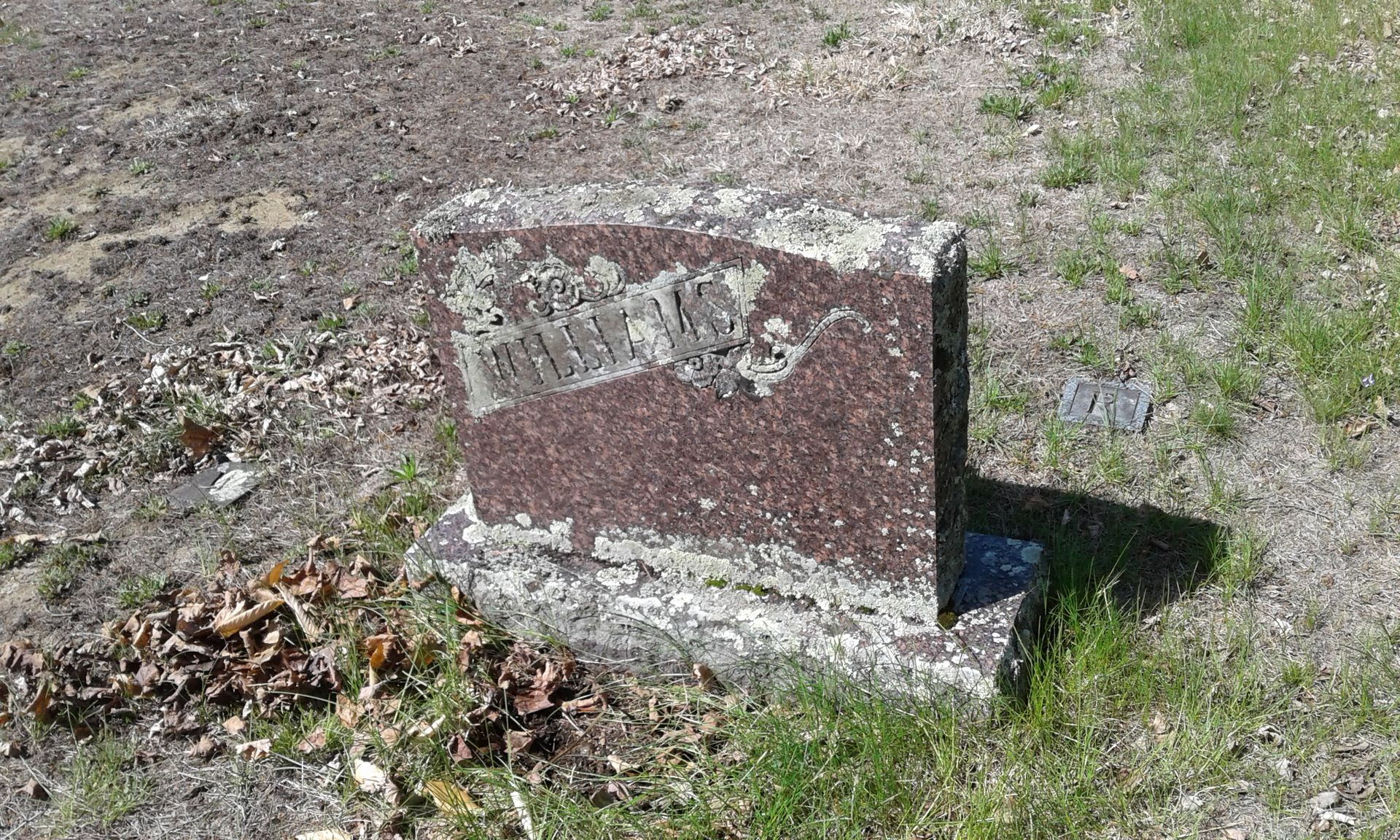 Unreadable family headstone